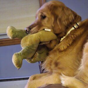 Love The Item But Not The Price.  Send An Offer LET'S BUNDLE